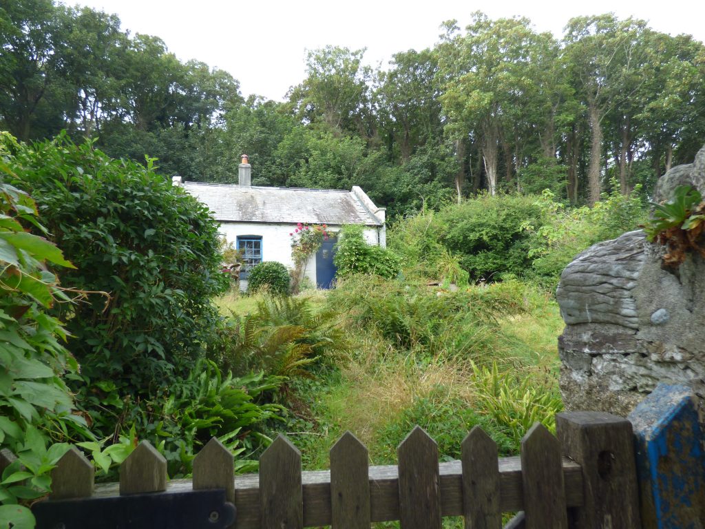An island haven – Smuggler's Cottage was much more exposed to the elements a couple of centuries ago, but now nestles amongst the trees