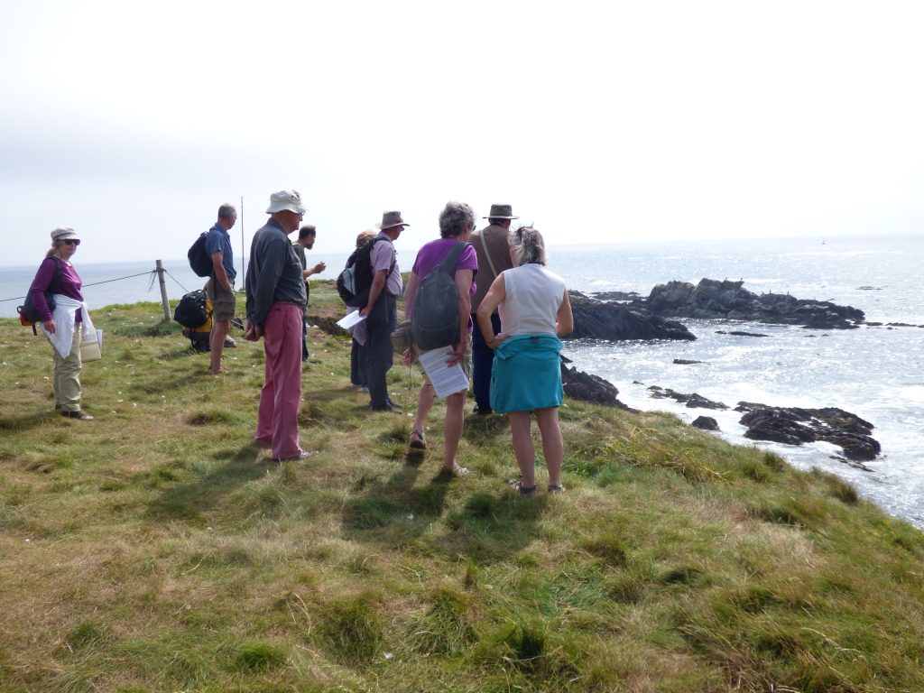 Looking out towards the shags and cormorants on the rocks ....