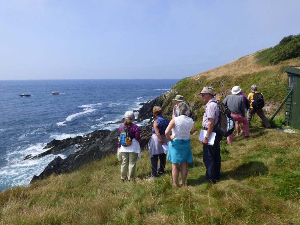 Viewing seabirds on the cliffs below