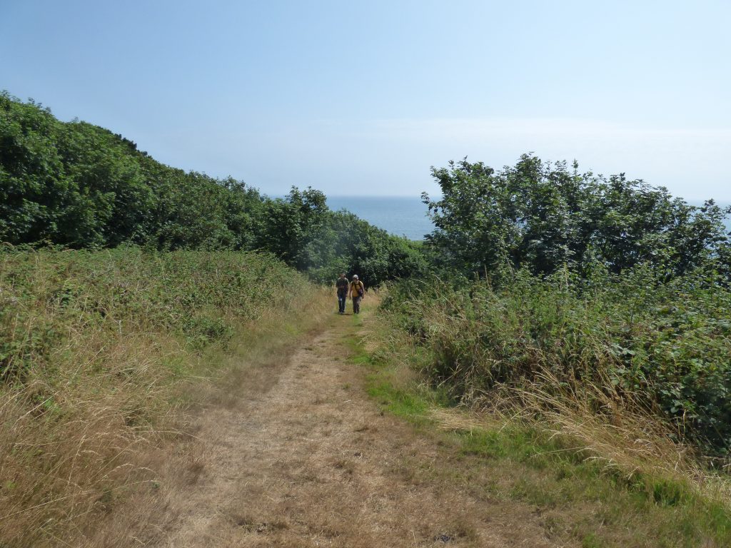 Uphill with sea behind