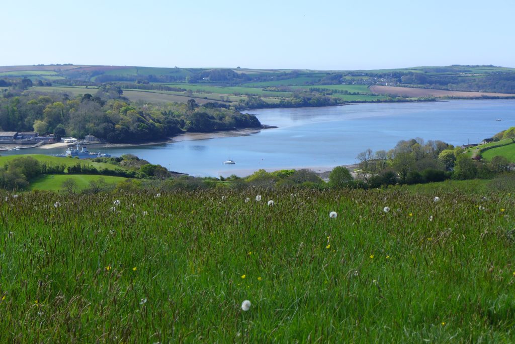 View from the reserve in April