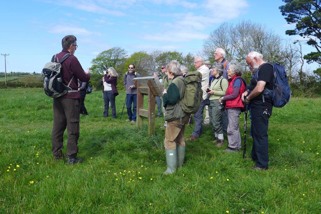 A Wildlife Group guided walk at Churchtown Farm Community Nature Reserve in April, led by East Cornwall Nature Reserves Manager Peter Kent