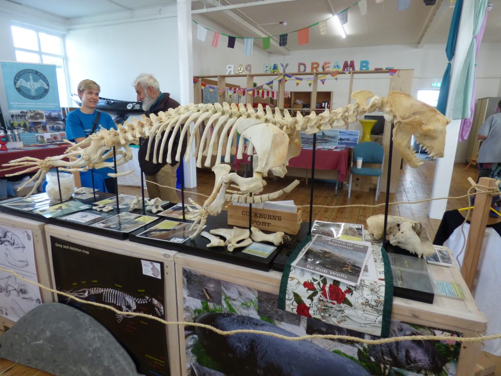 The skeleton of Septimus White on display in Par