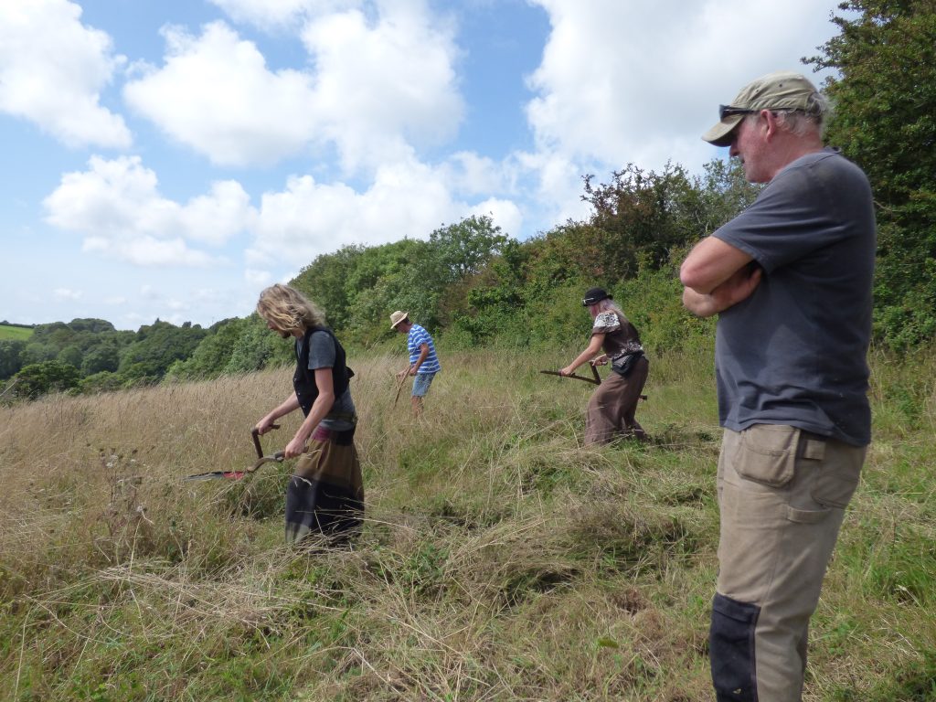 Learning to scythe under the watchful eye of David May
