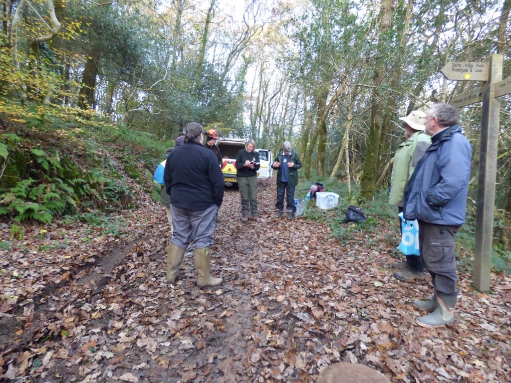 Register and notes, Kilminorth coppicing day