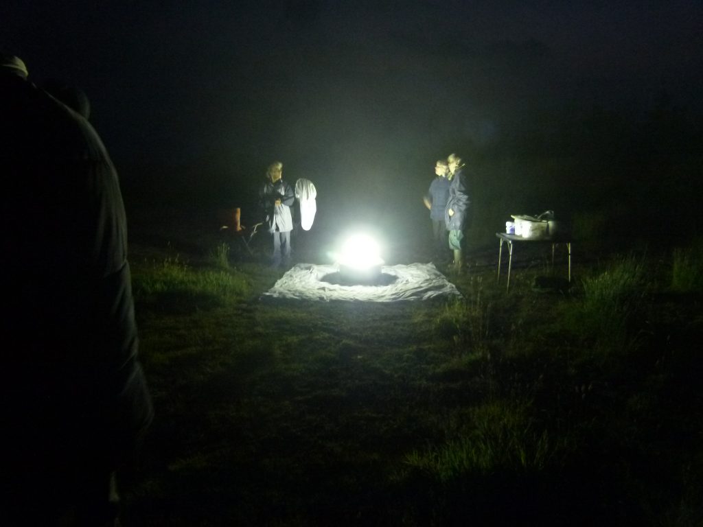 Attracting moths with a lamp at a site in East Cornwall © Jen Bousfield