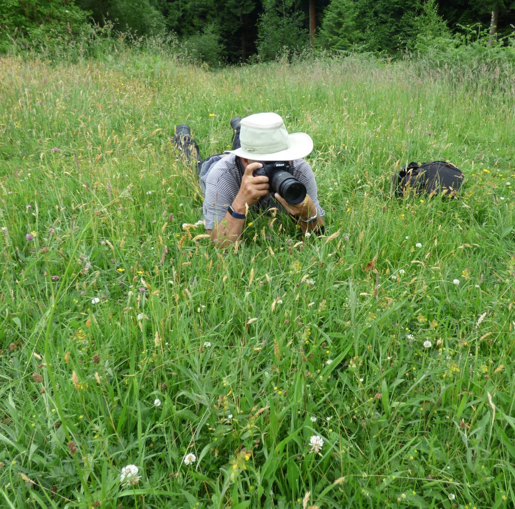 A Wildlife Group member photographing the rare Heath Fritillary butterfly in a meadow in east Cornwall © Rowena Millar