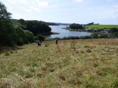 We came across a hayfield above the estuary