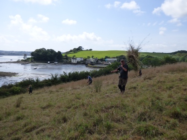 David removing the cut hay from the field – an essential job
