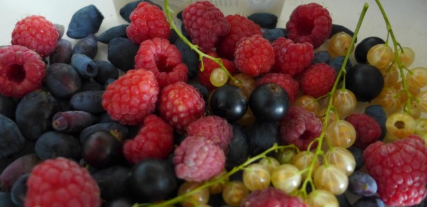 Mixed berries from the garden