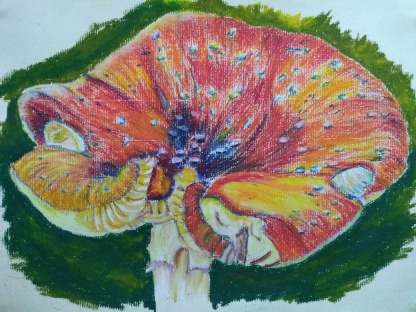 Fungal art – Fly Agaric by Gill Naylor